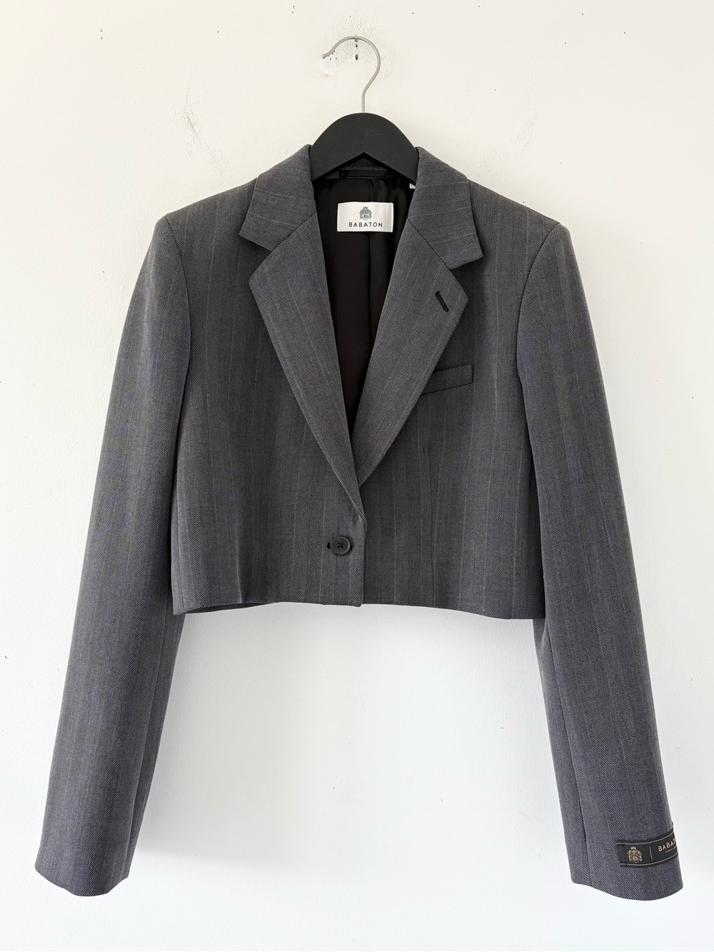 Aritzia Babaton Arbus Blazer